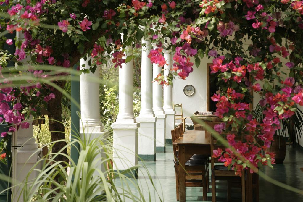 York Lodge Harare Exteriér fotografie
