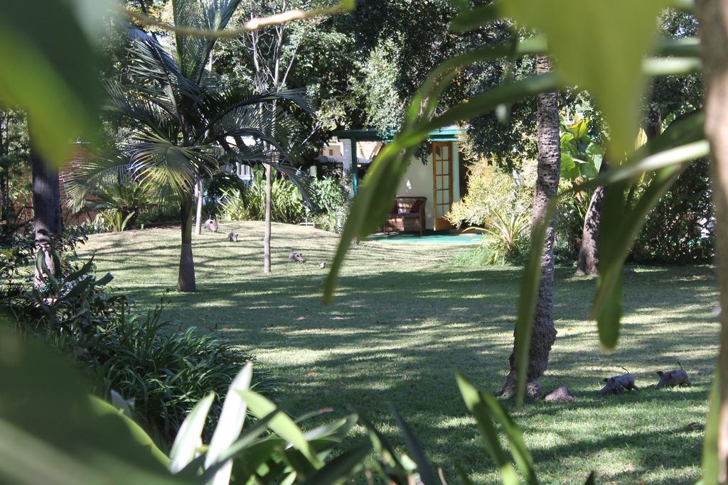 York Lodge Harare Exteriér fotografie